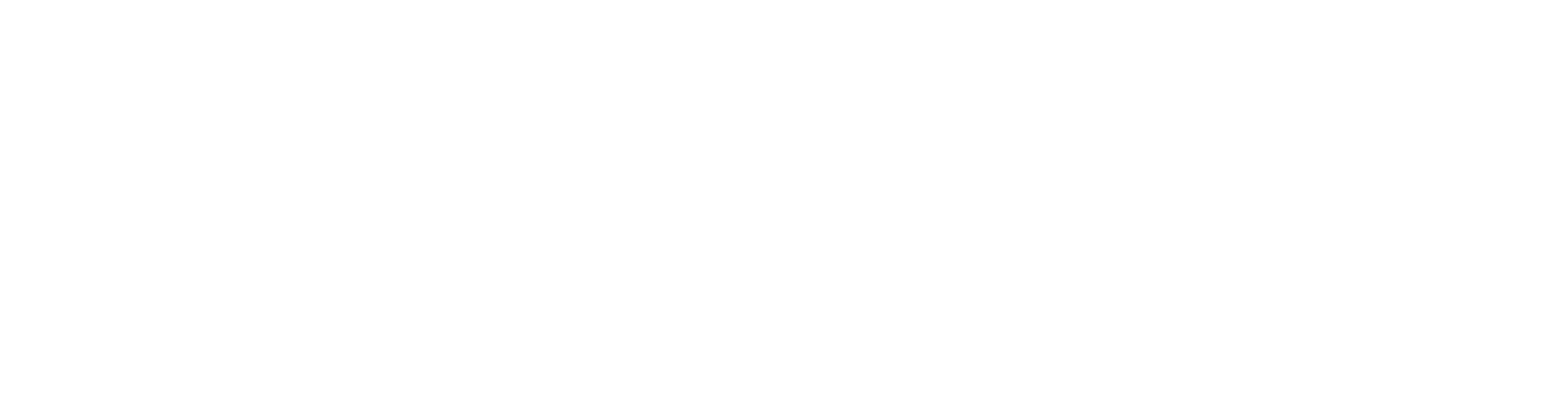 Logo for Volkert